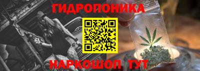 сатива Краснознаменск