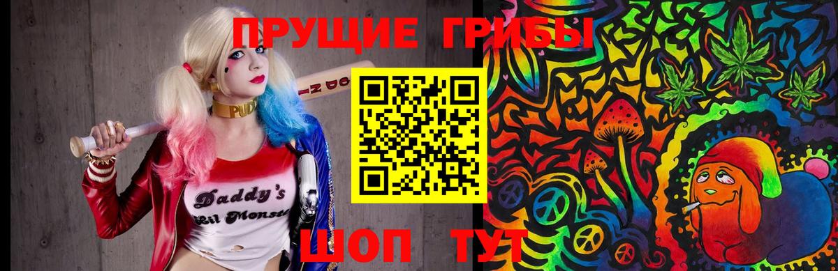 Галлюциногенные грибы Psilocybine cubensis  Вход с VPN  Галлюциногенные грибы мицелий  Томск 